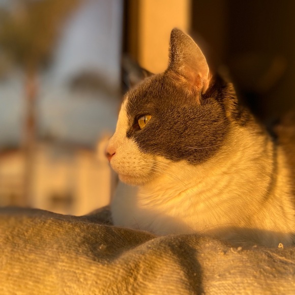 Meet your Posher, Teri - Picture 10 of 12